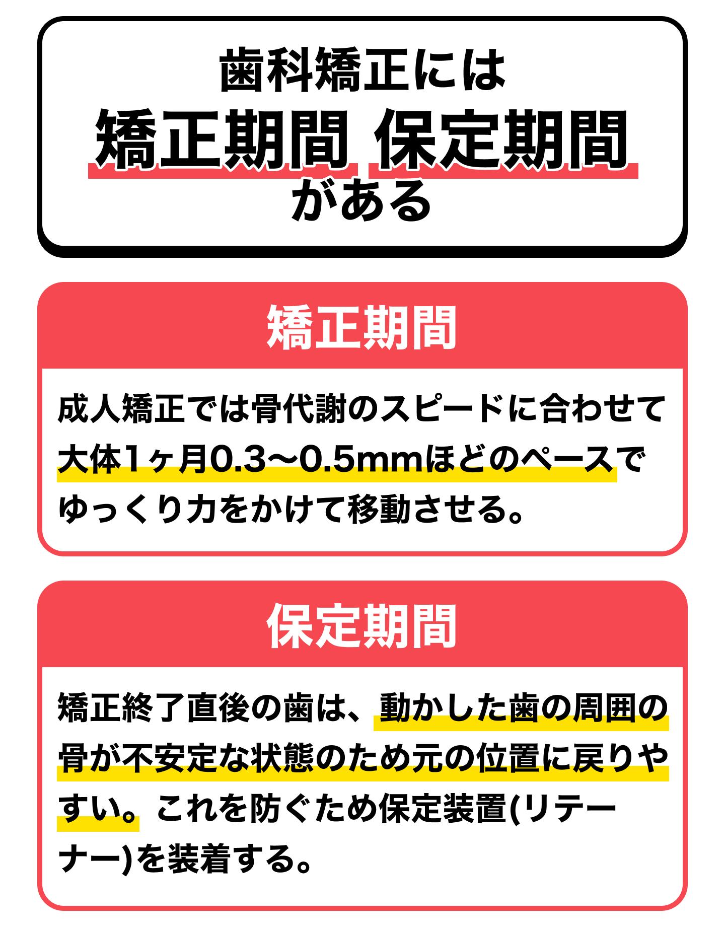 歯科矯正には矯正期間と保定期間がある