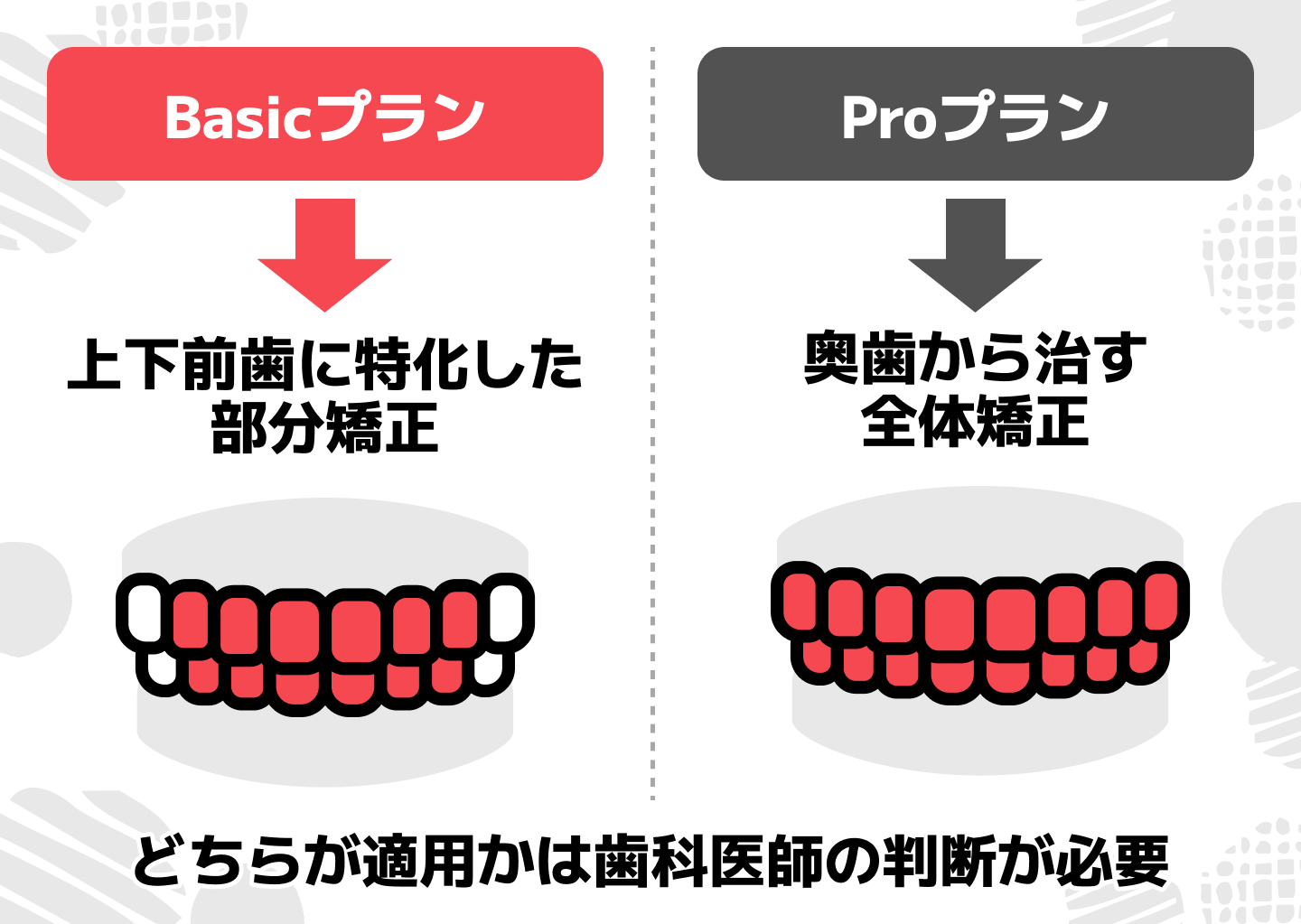 クチゴボ2