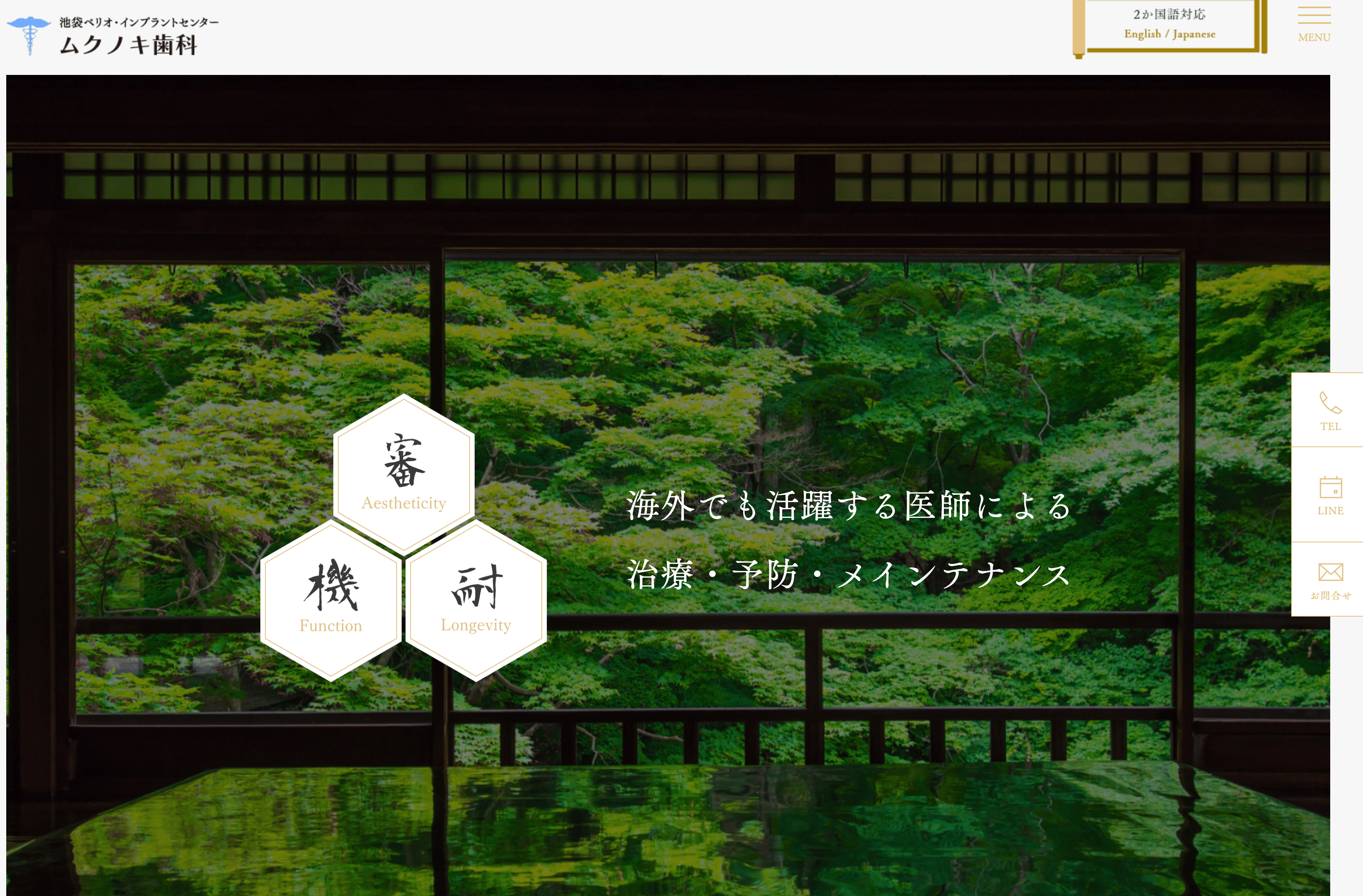 医療法人社団恵志会 ムクノキ歯科