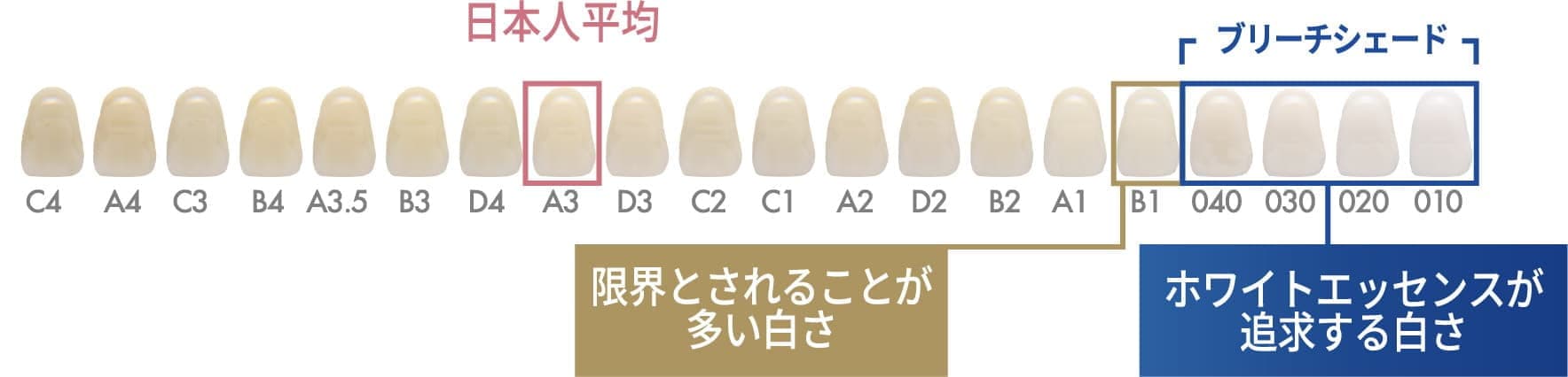 限界よりも4段階上の白さを目指せる施術