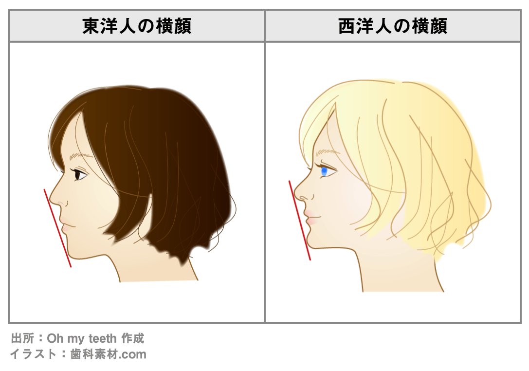 東洋人と西洋人の横顔の違い